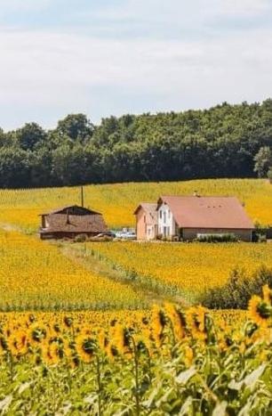 Maison Maupas Bed & Breakfast Bellesserre Bagian luar foto